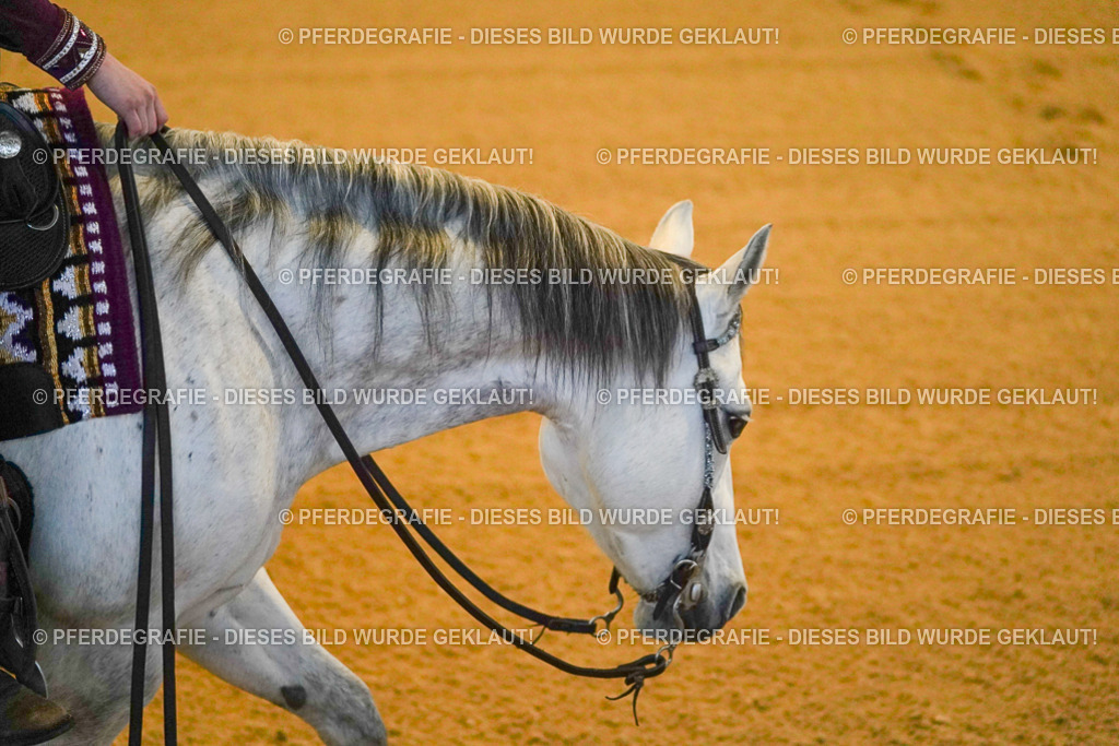 DSC08375 | Pferdegrafie