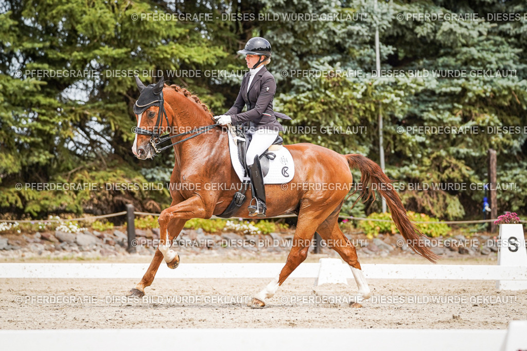 DSC05270 | Pferdegrafie