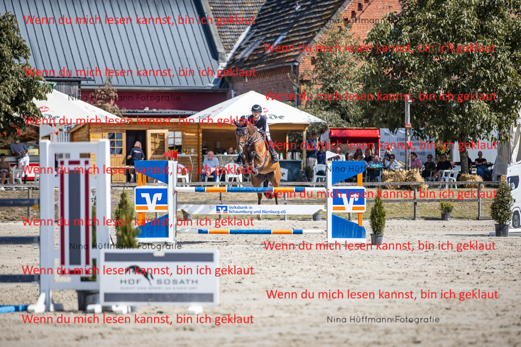BK1A6938 | Turnierbilder Turnierfotos Nina Hüffmann Turnierfotografie Pferdefotografie Tierzeichnung Haustierzeichnung Pferdezeichnung Hundezeichnung Videograf  - Realisiert mit Pictrs.com