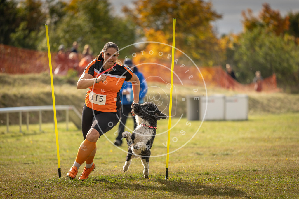 Pfotenfotografie_DV3A7042 | Hundefotografie, Tierfotograf, Pfotenfotografie, Fotoshooting Hund, Hunde Portrait, Hundesport, Hundeportraits, Heideshooting, Hunde, Sportfotograf, Hundefotograf, Turnierhundsport, THS,  - Realisiert mit Pictrs.com