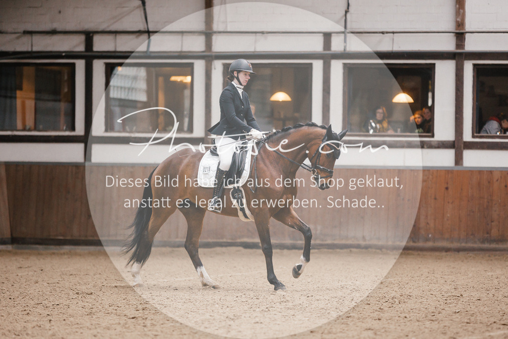 3I6A6606 | Stimmungsvolle Portraits und Reitsportfotografie im Ruhrgebiet und im Münsterland.

Pferdefotografie, Hundefotografie, Tierfotografie, Reportagen, Portraits von Tier und Mensch, Turnierfotografie in Bochum, Recklinghausen, Marl, Haltern am See, Dülmen.. - Realisiert mit Pictrs.com