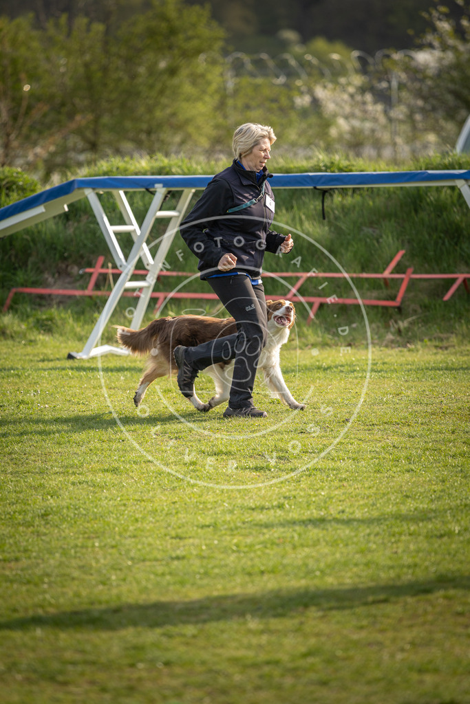 Pfotenfotografie_DV3A4784 | Hundefotografie, Tierfotograf, Pfotenfotografie, Fotoshooting Hund, Hunde Portrait, Hundesport, Hundeportraits, Heideshooting, Hunde, Sportfotograf, Hundefotograf, Turnierhundsport, THS,  - Realisiert mit Pictrs.com