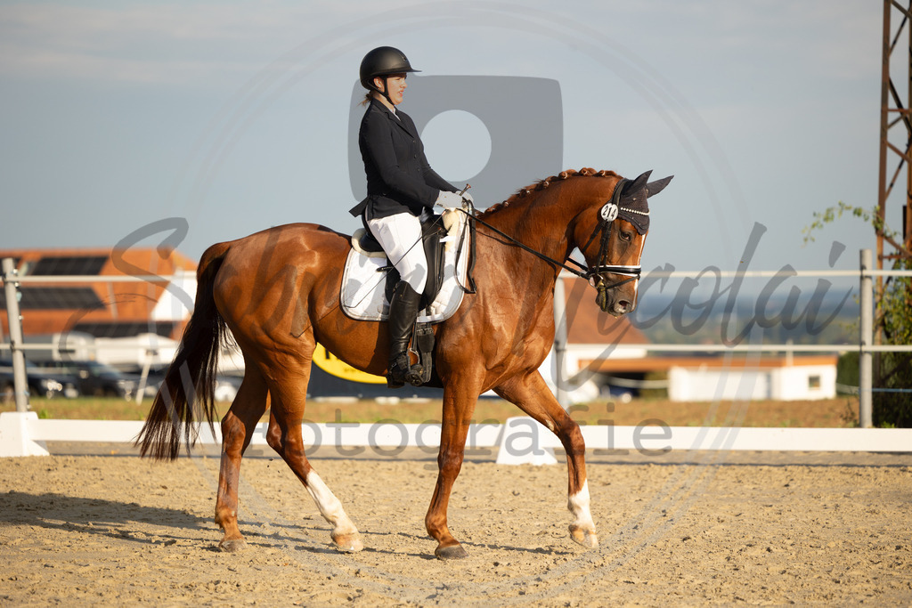 994A0295 | sabrinanicolaifotografie - Realisiert mit Pictrs.com