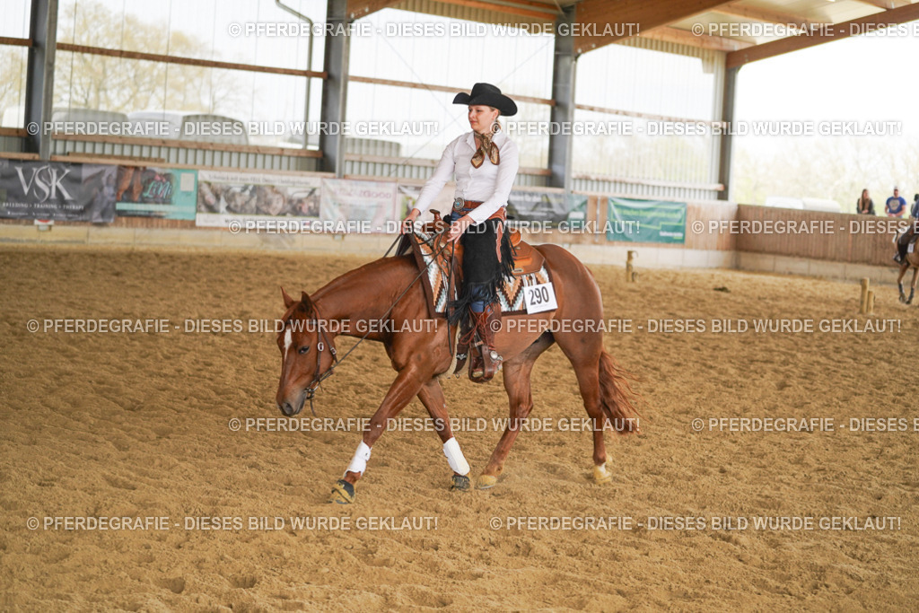 DSC05977 | Pferdegrafie