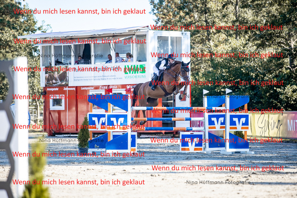 BK1A8215 | Turnierbilder Turnierfotos Nina Hüffmann Turnierfotografie Pferdefotografie Tierzeichnung Haustierzeichnung Pferdezeichnung Hundezeichnung Videograf  - Realisiert mit Pictrs.com