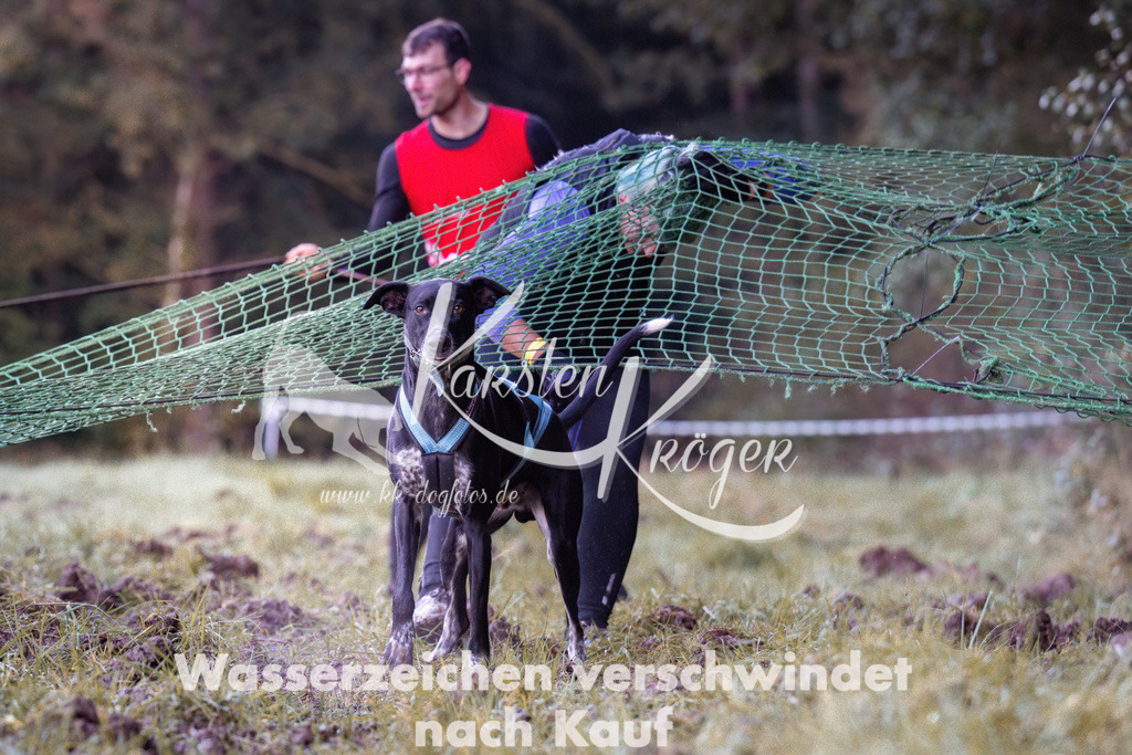 0828_ZZ90403 | kk-dogfotos