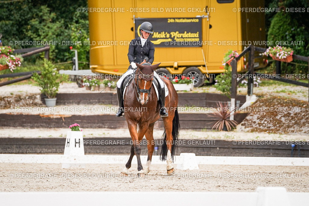 DSC06481 | Pferdegrafie