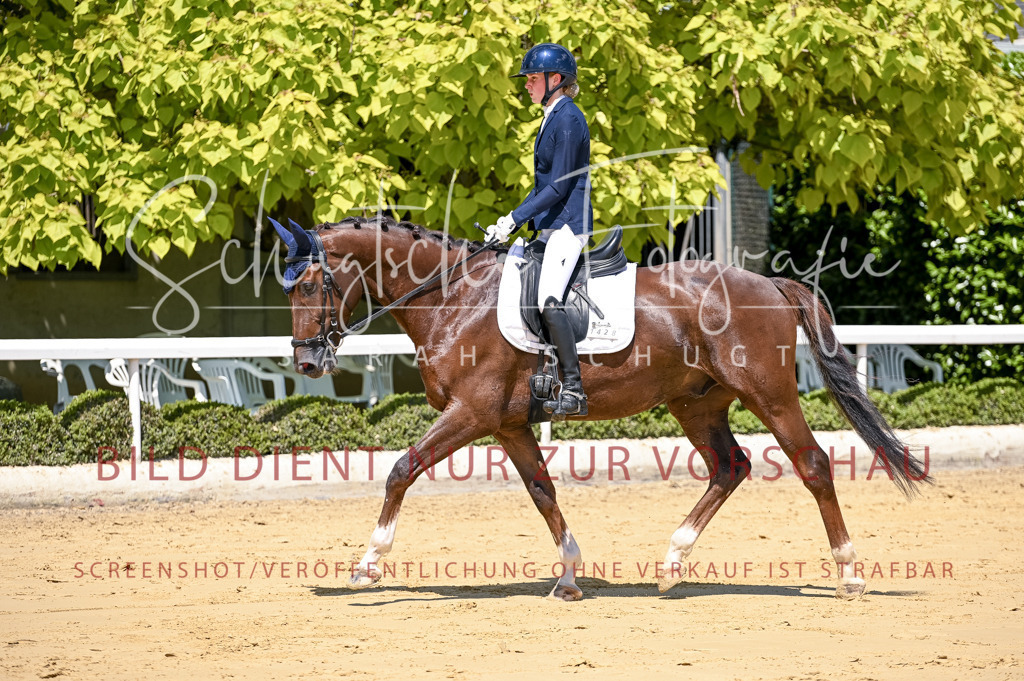 Schugtsche-Aluta25-49.Dressurpferdeprf.A-24 | Schugtsche Fotografie - Realisiert mit Pictrs.com
