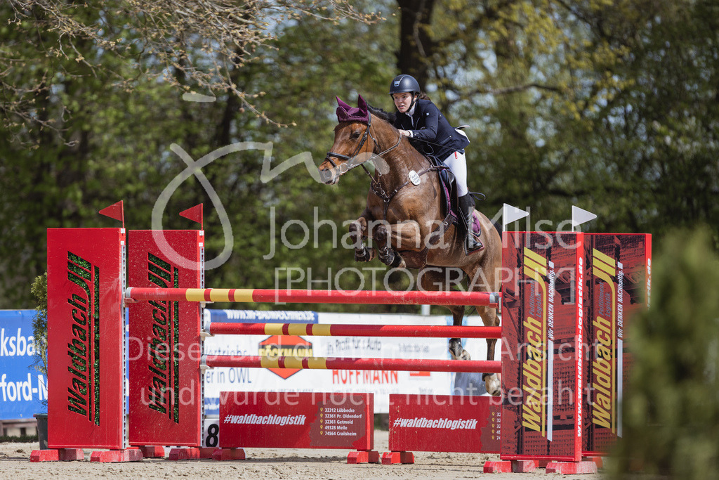 230501_SpengeW_M2St-210 | Deine schönsten Turniermomente als professionelle Fotos! Entdecke hochwertige Pferdesport-Fotografie im Online-Shop. Jetzt Fotos finden & bestellen!