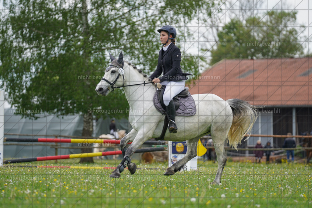 20240509-FAH02620 | Turnierbilder der Turnierfotografen Bayern, Pferdesport Fotografie, Reitsportbilder, Turnier Landberg am Lech, Turnierbilder bayern, Fotoagentur Herrmann