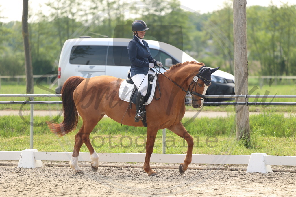 994A6418 | sabrinanicolaifotografie - Realisiert mit Pictrs.com