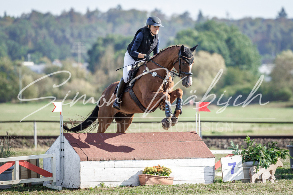 20260905-_3LI0330 | Tierfotografie Pferde, Hunde, Katzen, Haustiere.
Turnierfotografie Reitturniere, Reiten, Springreiten, Dressur in Hanau, dem Main-Kinzig-Kreis und dem Rhein-Main- Gebiet um Frankfurt