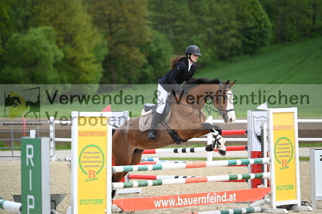DSC_0601 | equestrian-live-com
