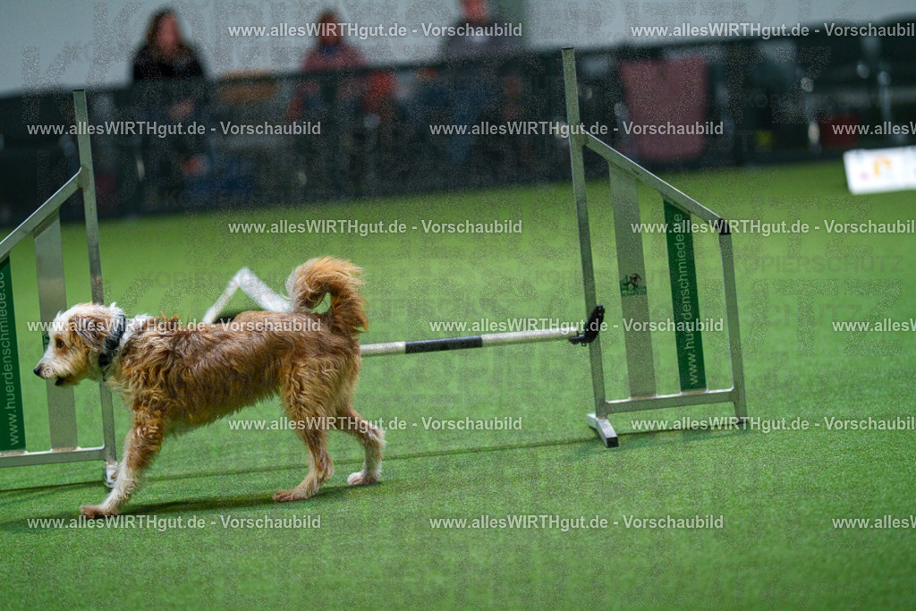 7R503388 | Professionelle Tierfotografie in Mönchengladbach von Daniel Wirth (allesWIRTHgut). Liebevolle & natürliche Bilder von Hunden & Katzen für unvergessliche Erinnerungen.