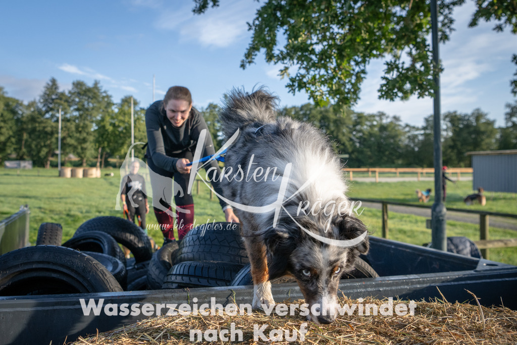 0826_ZZ91445 | kk-dogfotos