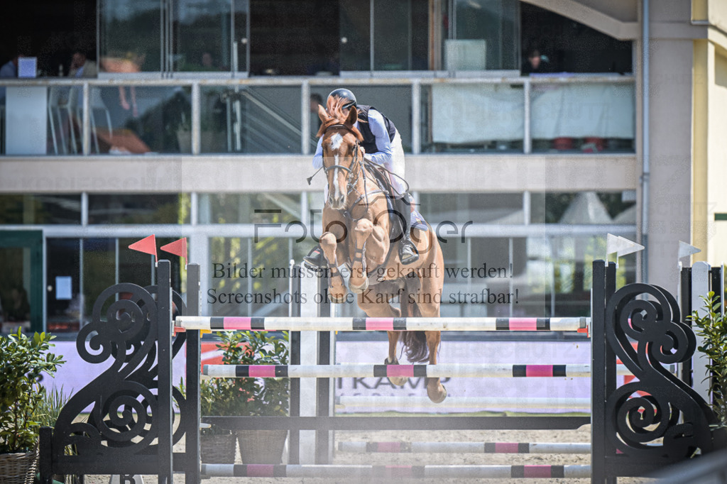 DOS_3711 | Entdecke hochwertige Reitturnierfotos von Foto Oger. Professionell, emotional und authentisch – jetzt Lieblingsmomente im Shop bestellen.Deutschlandweite Turnierfotografie. - Realisiert mit Pictrs.com