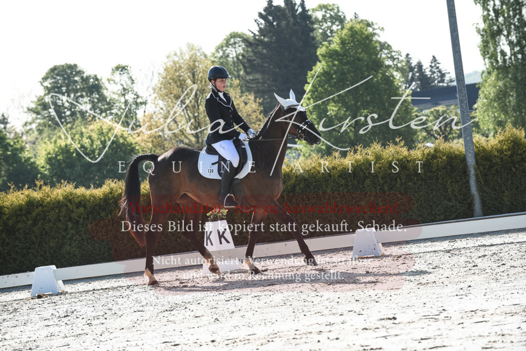 20230518_JK-Röhrsdorf-09-0604 | Pferde- und Turnierfotografie in Westsachsen. Pferdeportraits, Auftragszeichnungen und intuitive Kunst.