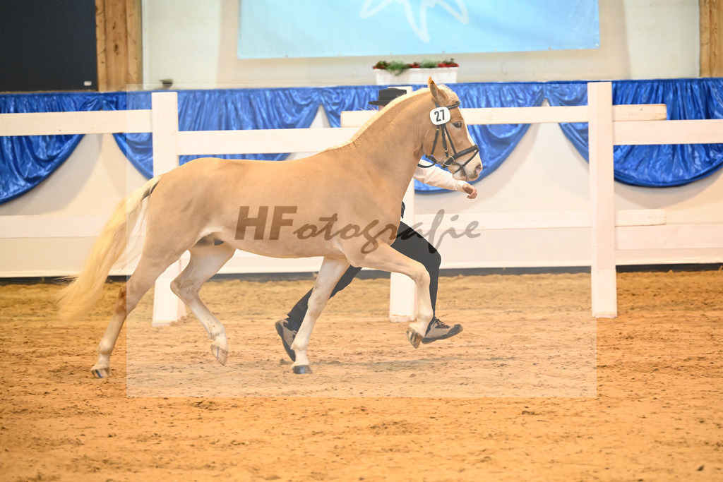Kat-Nr. 27 nn v. Steingold_Stecher_60220421 | hf-fotografie - Realisiert mit Pictrs.com