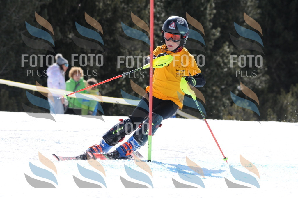 C9045 | holidayphoto