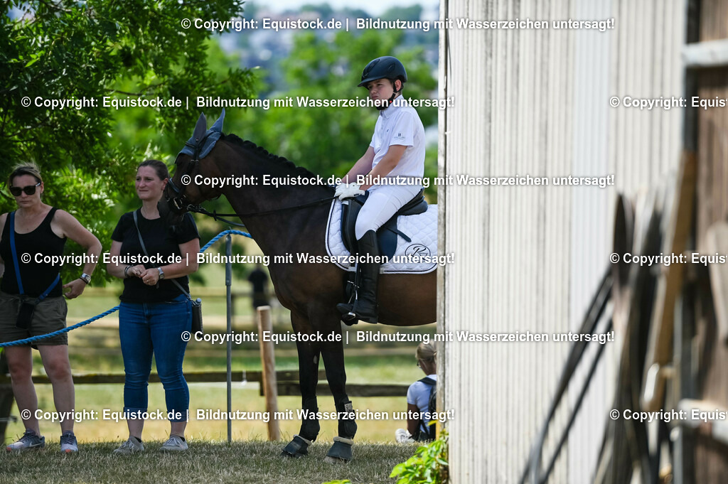20230715_09_Dressur-WB_0075 | equistock