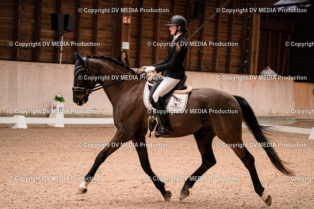 Dressur Tag 2-261 | dv-media-shop - Realisiert mit Pictrs.com