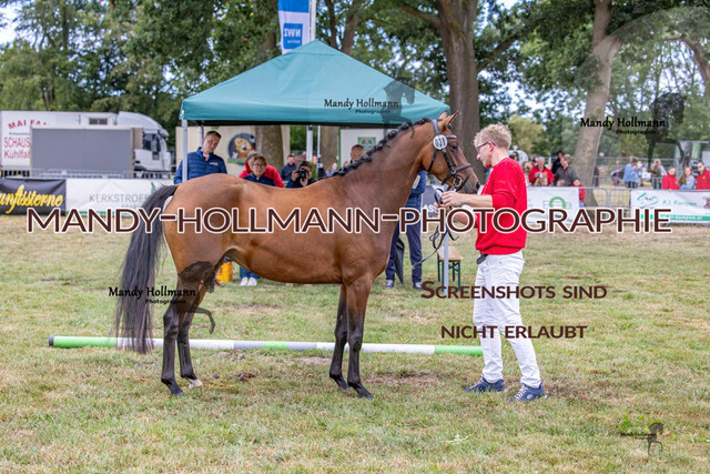 DR (1101 von 2698) | mandyhollmannphotographie