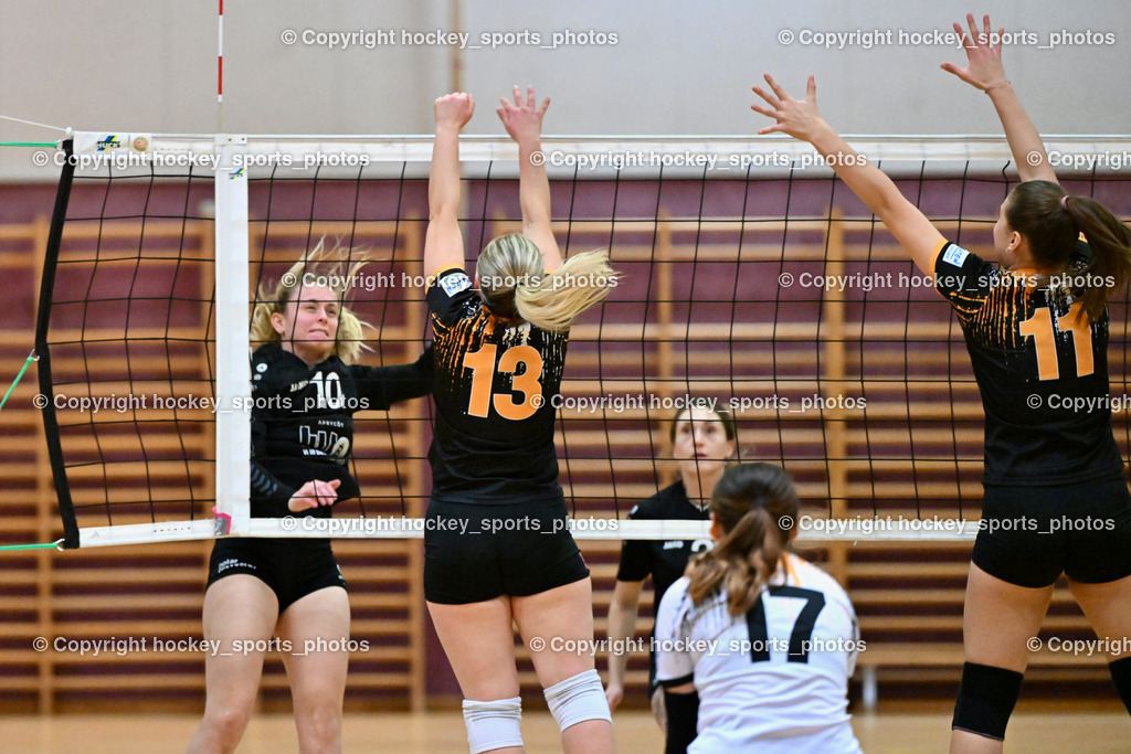 ASKÖ Volley Eagles Villach vs. VC Hausmannstätten | #13 BEBEKAJLO Vanessa ASKÖ Volley Eagles Villach, #11 Ilvie HOFER ASKÖ Volley Eagles Villach, #17 PIRKER Sophie ASKÖ Volley Eagles Villach, #10 MAROLD-ORTNER Nicole VC Hausmannstätten, ASKÖ Volley Eagles Villach vs. VC Hausmannstätten, ASKÖ Volley Eagles Villach vs. VC Hausmannstätten am 01.02.2025 in Villach (Ballspielhalle Lind), Austria, (Photo by Bernd Stefan)