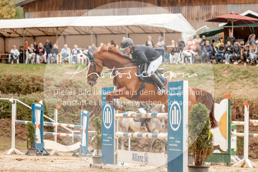 3I6A8625 | Stimmungsvolle Portraits und Reitsportfotografie im Ruhrgebiet und im Münsterland.

Pferdefotografie, Hundefotografie, Tierfotografie, Reportagen, Portraits von Tier und Mensch, Turnierfotografie in Bochum, Recklinghausen, Marl, Haltern am See, Dülmen.. - Realisiert mit Pictrs.com