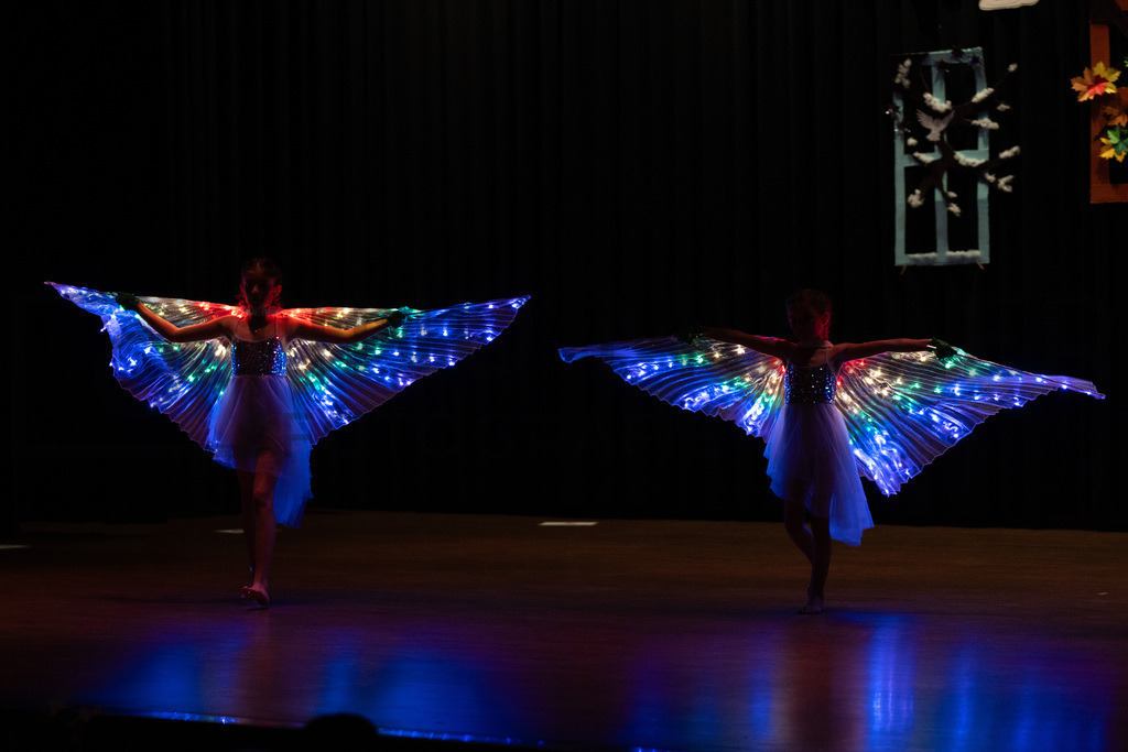 DSC08743 | Tinu Müller Fotografie- Bildershop - Realisiert mit Pictrs.com