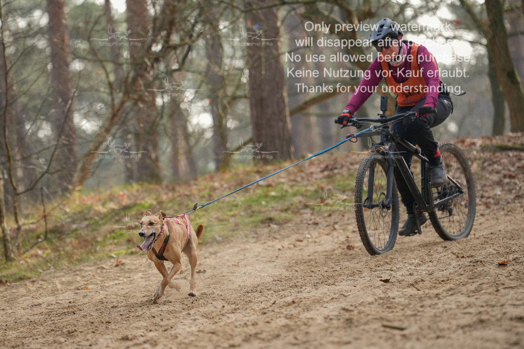 Bike1-284 | stephaniefillaphotographie - Realisiert mit Pictrs.com