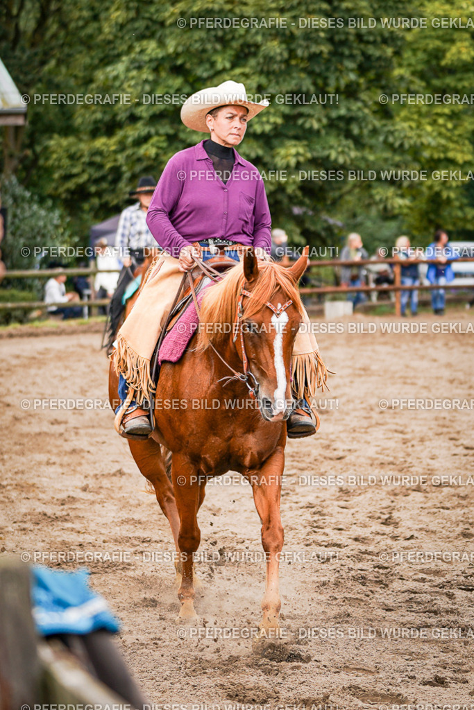 DSC08525 | Pferdegrafie