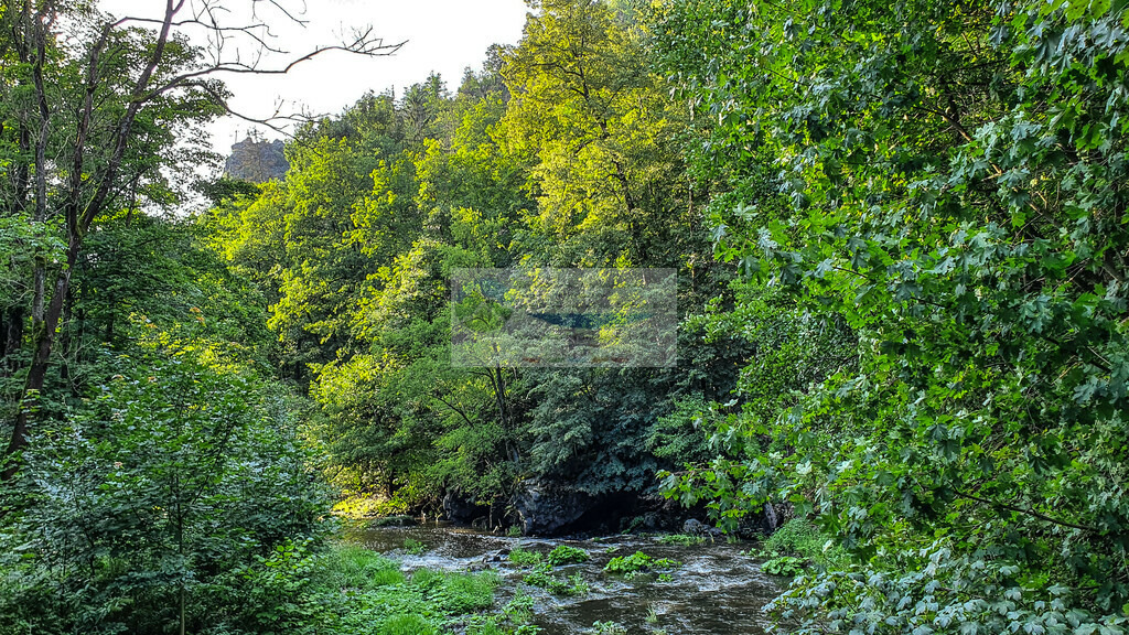 Höllental Sommer | Impressionen rund um Hochfranken - Frankenwald - Fichtelgebirge - Realisiert mit Pictrs.com