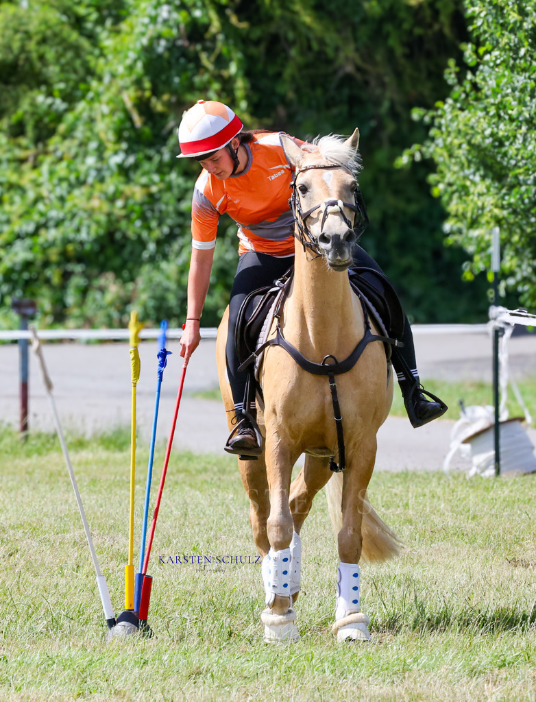 1B3A4879 | Reitsport Reiten