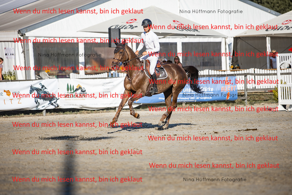 BK1A8709 | Turnierbilder Turnierfotos Nina Hüffmann Turnierfotografie Pferdefotografie Tierzeichnung Haustierzeichnung Pferdezeichnung Hundezeichnung Videograf  - Realisiert mit Pictrs.com