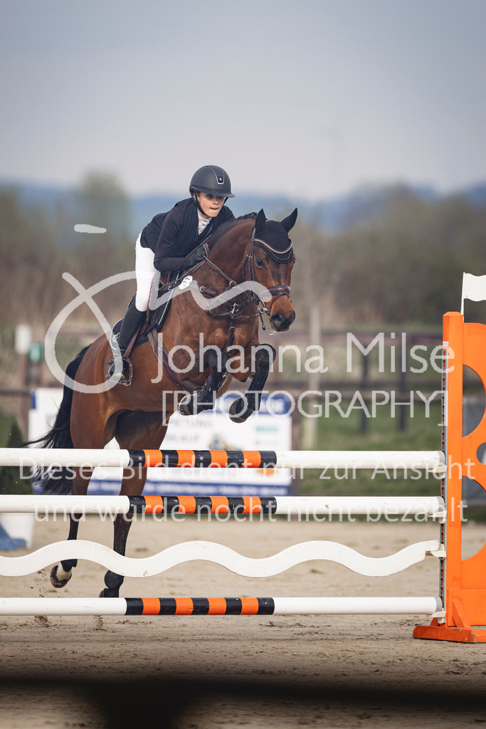 240327_Fruehlingsfest_Stil-L-1-300 | Deine schönsten Turniermomente als professionelle Fotos! Entdecke hochwertige Pferdesport-Fotografie im Online-Shop. Jetzt Fotos finden & bestellen!
