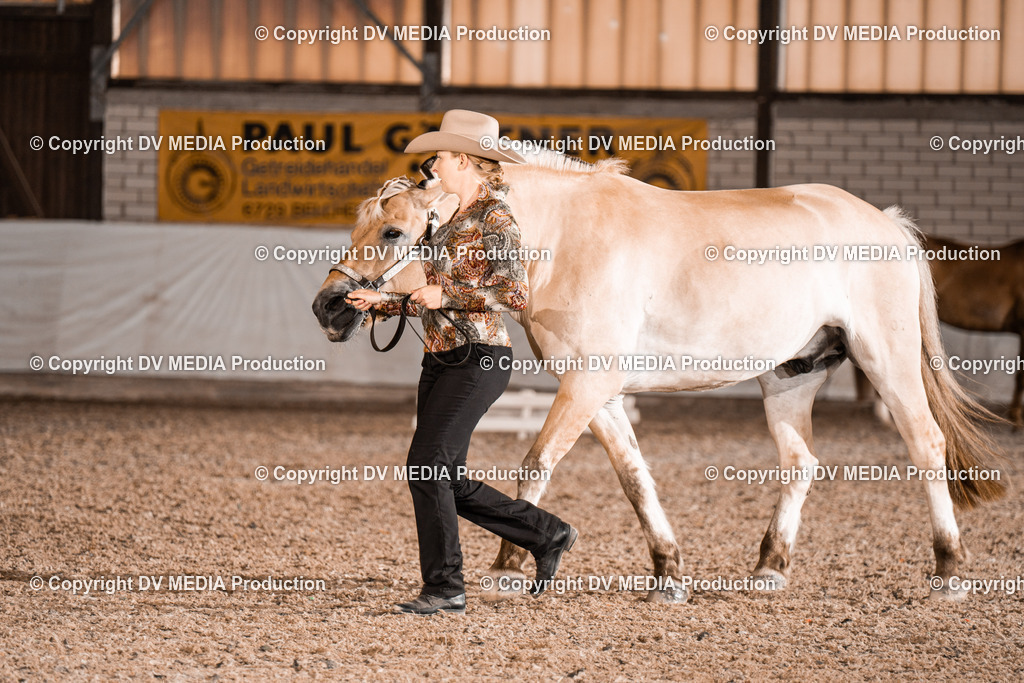 ZH200166 | dv-media-shop - Realisiert mit Pictrs.com