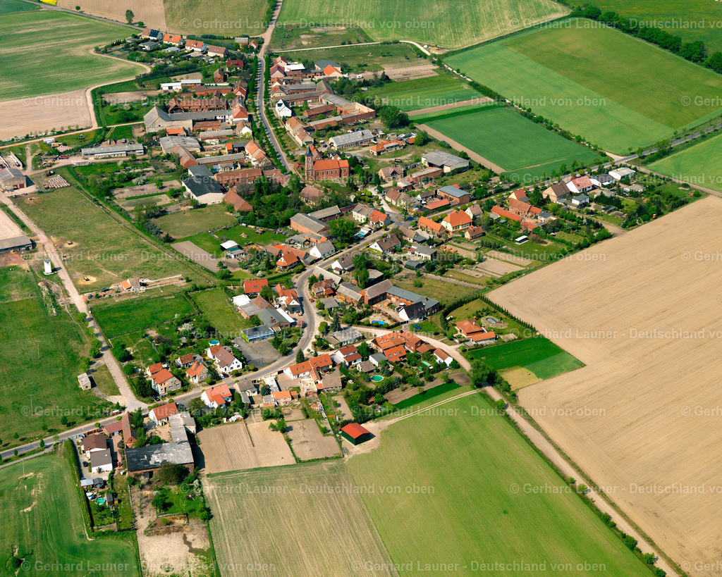 2709825 | Mangelsdorf