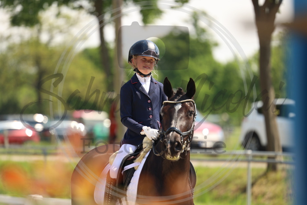 994A7278 | sabrinanicolaifotografie - Realisiert mit Pictrs.com