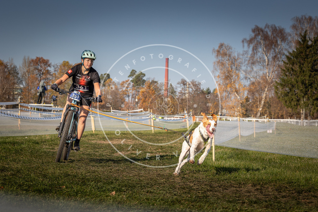 CaniXpix_0L8A8135 | Hundefotografie, Tierfotograf, Pfotenfotografie, Fotoshooting Hund, Hunde Portrait, Hundesport, Hundeportraits, Heideshooting, Hunde, Sportfotograf, Hundefotograf, Turnierhundsport, THS,  - Realisiert mit Pictrs.com