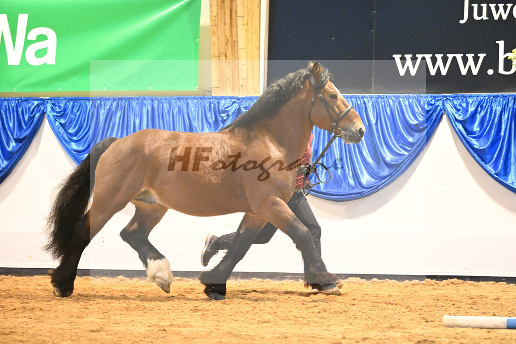 Kat-Nr. 39 Albrecht von Brueck_Bruecker Agrar u Landschafts GbR_53221223 | hf-fotografie - Realizzato con Pictrs.com