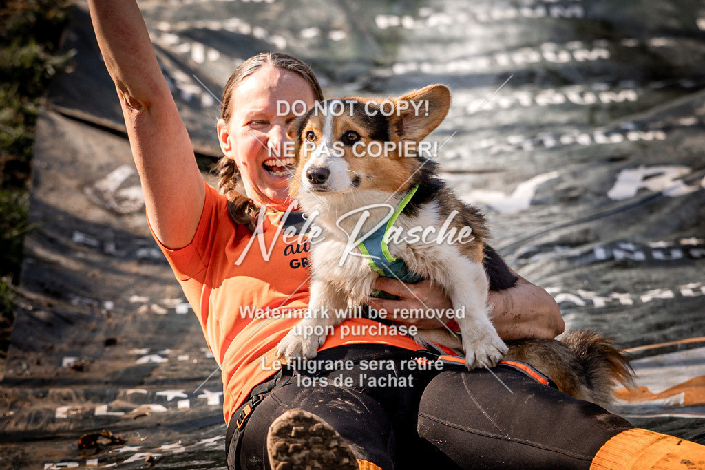 nelerasche_Hulsbeek_So1200-1230_197 | nelerasche