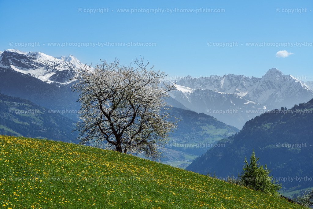 Stummerberg Blick taleinwärts copyright  Thomas Pfister-3 | PHOTOGRAPHY BY THOMAS PFISTER