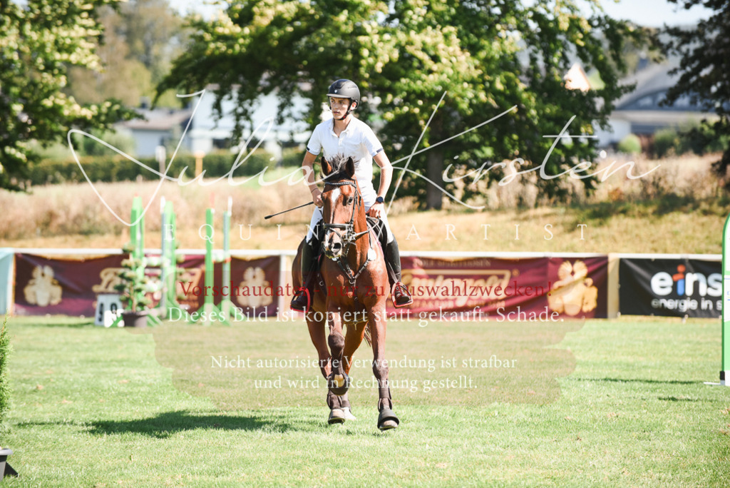 DSC_2819 | Pferde- und Turnierfotografie in Westsachsen. Pferdeportraits, Auftragszeichnungen und intuitive Kunst.