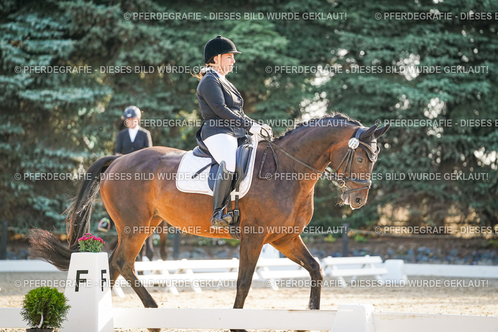 DSC08017 | Pferdegrafie