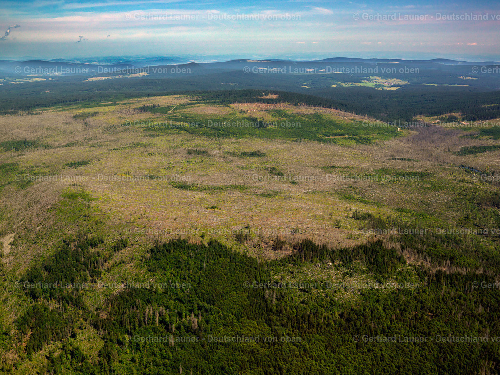 2725190 | Mauthur Forst , Bayerischer Wald, geknickte Bäume, Kahlschlag: Orkanschäden