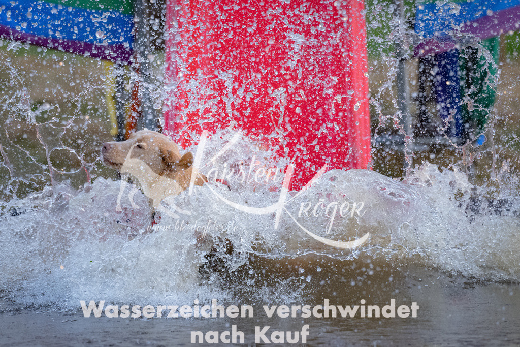 1915_ZZ92400 | kk-dogfotos
