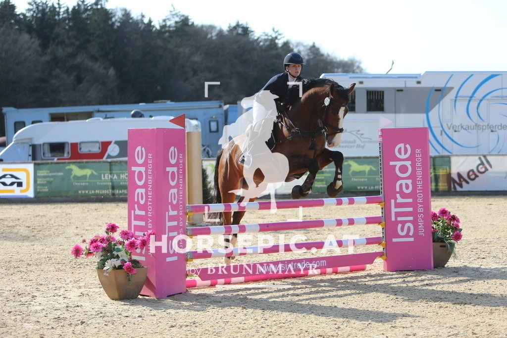 DL2Q3975 | Willkommen bei Brunnmayr - Design & Fotografie – Ihrem Spezialisten für Reitturniere und Pferdeveranstaltungen in Oberösterreich, Salzburg und Bayern! Seit über 17 Jahren sind wir leidenschaftlich dabei.