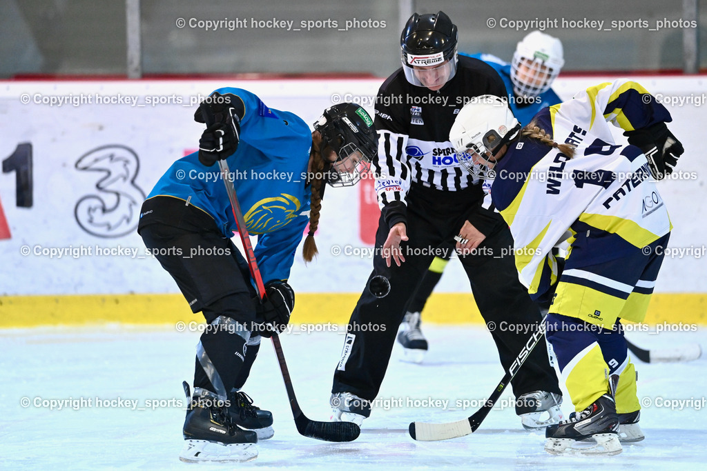 BST_6400 | hockey sports photos, Pressefotos, Sportfotos, hockey247, win 2day icehockeyleague, Handball Austria, Floorball Austria, ÖVV, Kärntner Eishockeyverband, KEHV, KFV, Kärntner Fussballverband, Österreichischer Volleyballverband, Alps Hockey League, ÖFB, 