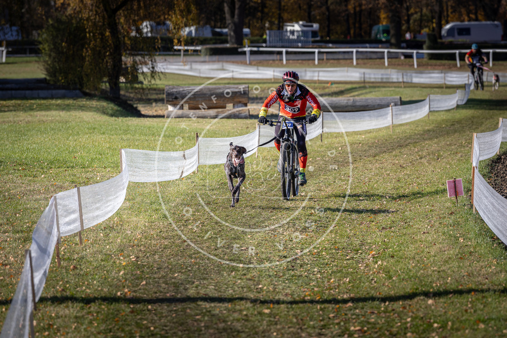 CaniXpix_DV3A6249 | Hundefotografie, Tierfotograf, Pfotenfotografie, Fotoshooting Hund, Hunde Portrait, Hundesport, Hundeportraits, Heideshooting, Hunde, Sportfotograf, Hundefotograf, Turnierhundsport, THS,  - Realisiert mit Pictrs.com