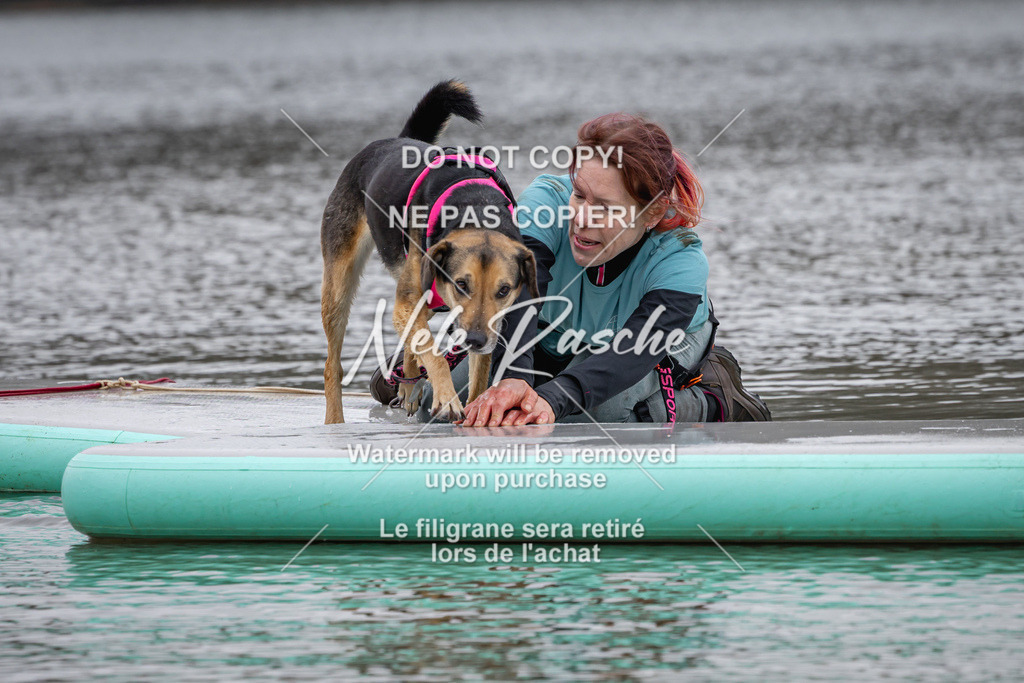 nelerasche_Hulsbeek_Sa1330-1430_125 | nelerasche